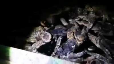(Gruesome) Potential child organ harvesting catacombs discovered under a Hospital, looking for a translation, bodies look months old and phone time stamp is 12/26/2022. NSFW. Children&rsquo;s clothes scattered