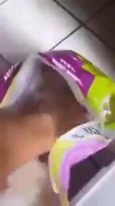 Eating cat poop, sort of