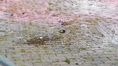 Die Schanze lebt!