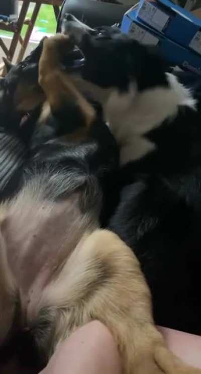 When mum makes fun of the noises you&rsquo;re making (sound on)