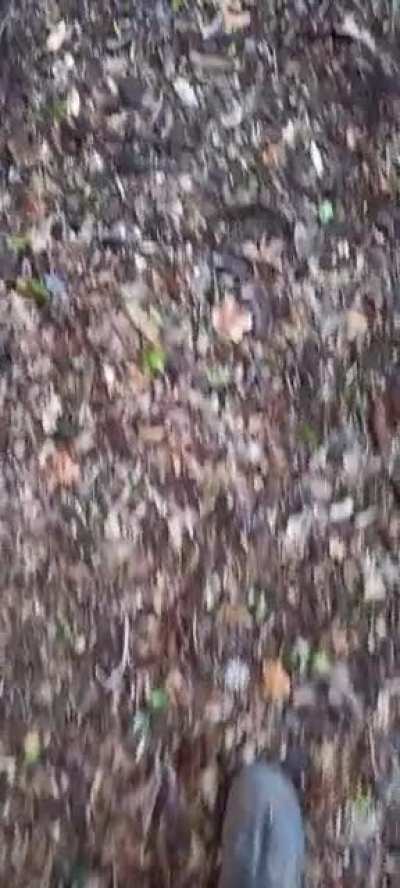 Im lost