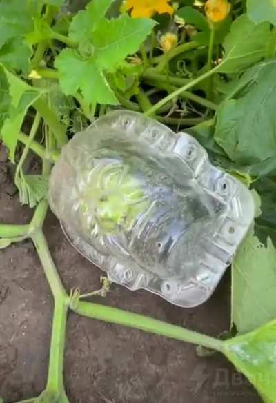 Это вызов!