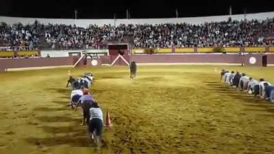 ThisLooksFun
