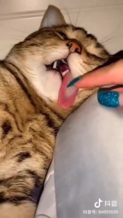 deeeeeep sleep