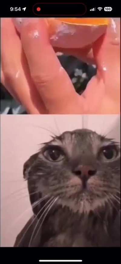 I&rsquo;m 15 and this is yeet