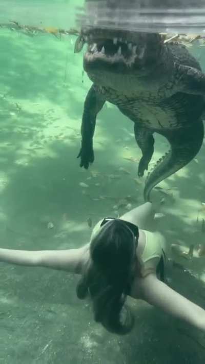 keep swiming