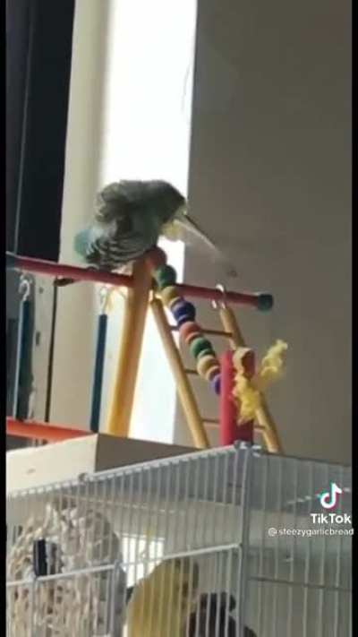 He apparently did this 8-9 times a day