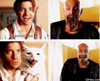 In The Mummy (1999), Imhotep can suck the life out of entire crowds and unleash plagues&hellip; yet he&rsquo;s terrified of cats. You&rsquo;d think Rick O'Connell would start carrying a sack of kittens, yet somehow the anti-Imhotep feline strategy gets used exactly once and
