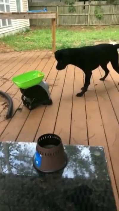 Playing catch