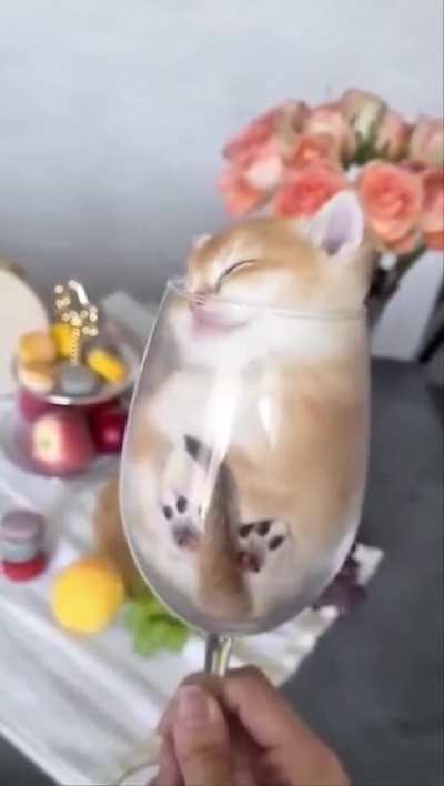 Glass of orange
