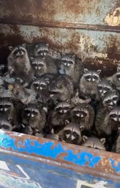 The trash headquarters