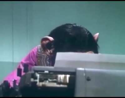 Leaked Footage of the one rockstar employee working on the red dead online patch