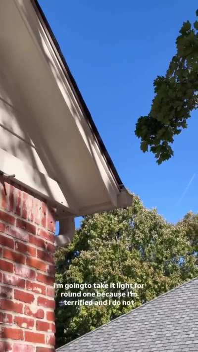 No chemicals needed to banish wasps