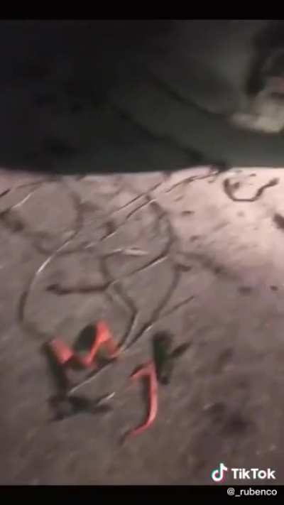 HMC while I prove we don&rsquo;t need men for anything
