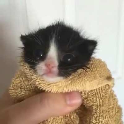 Cute