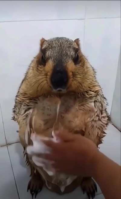 water procedures