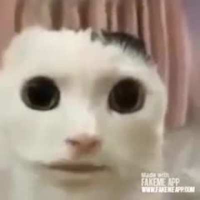 Oke