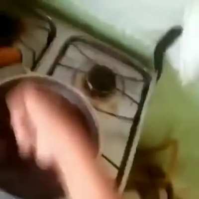 coitado...o muleke vai cum&ecirc; burracha 😂😂😂😂
