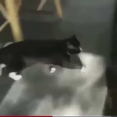 T-Pose