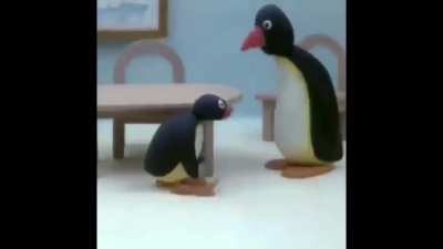 Perfectly cut pengu