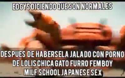 ""Normales""