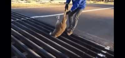 Thats gotta hurt