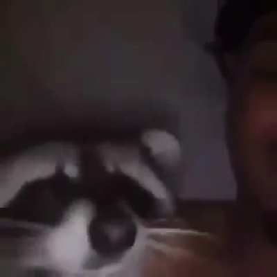 Rocket Raccoon caught slippin