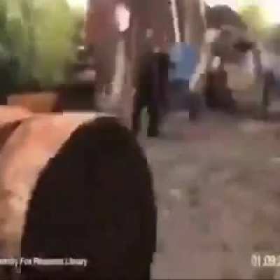 blursed_monkeys
