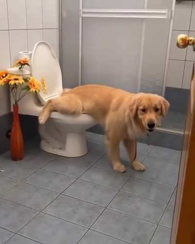 Well mannered