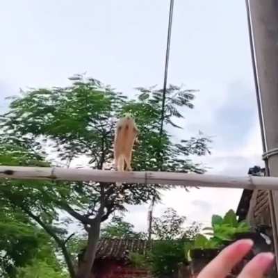 Perfect angle.