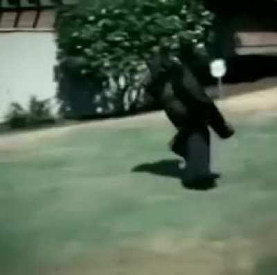 Mono