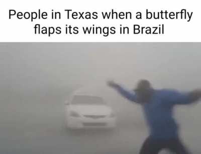 Butterfly Effect