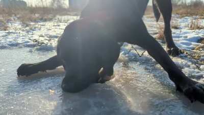 Icebreaker