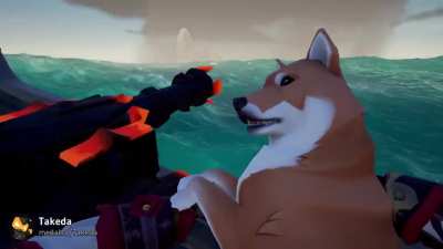 The adventures of Rocket Doggo