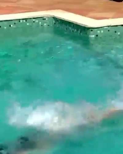 Salma hayek