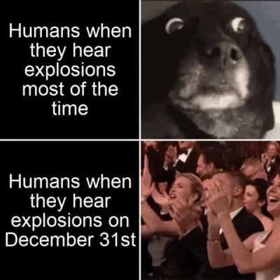 Humans are strange