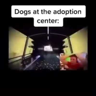 rip