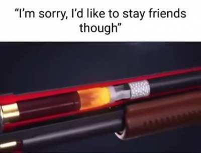 Friends