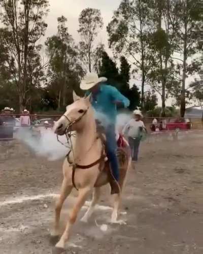 Если ты не баба- не пытайся остановить коня на скоку☝️🤠иначе пальчик будет бо-бо😥