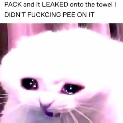 I&rsquo;m 15 and this is yeet
