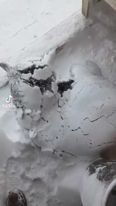 Found on Tiktok