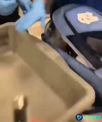 Eu enganando os policiais da opala negra