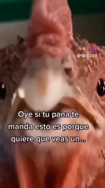 Si digo que?