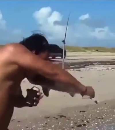 Baby shark, do do do&hellip;.