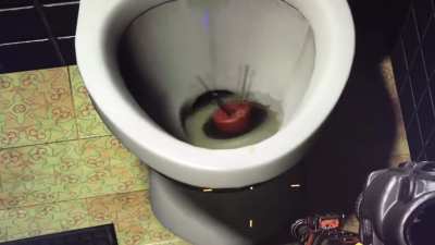 If you put a pancake in the toilet this happens