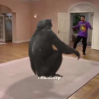 Monkey flip