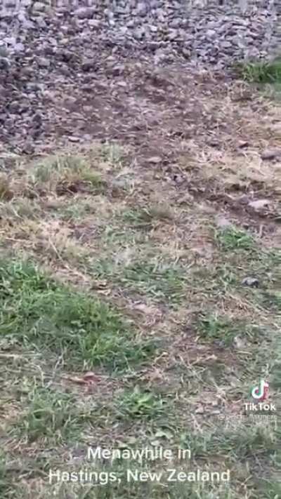 fuckin&rsquo; lost it
