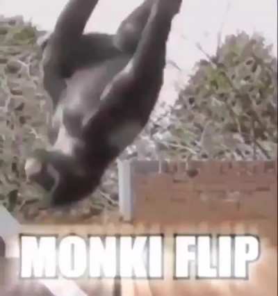 monke no simp monke flip 😤😤😤😤