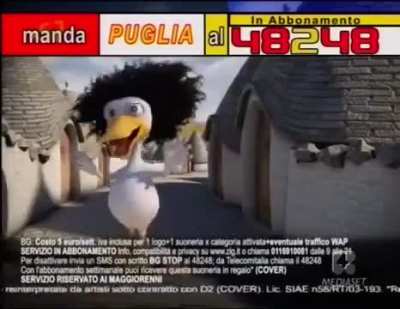 Cosa &egrave; precisamente