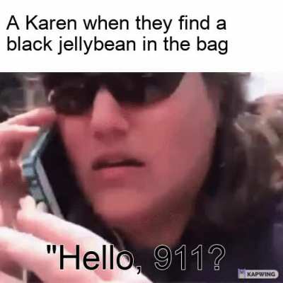 Make Karen Memes Great Again